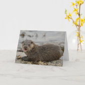otter kaart (Gele Bloem)