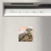 Otter Koelkast Magnet Magneet (Insitu (Vaatwasser))