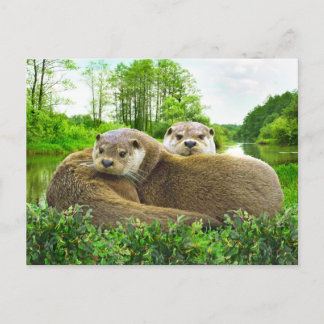 "Otter Love" Briefkaart