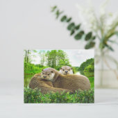 "Otter Love" Briefkaart (Staand voorkant)