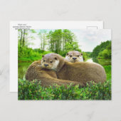"Otter Love" Briefkaart (Voorkant / Achterkant)
