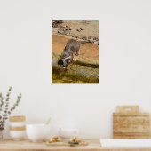 Otter Manger Du Poisson Par Étang, Poster (Cuisine)