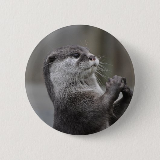 Otter Masterminal Button (Voorkant)