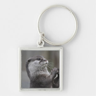 Otter Masterminal sleutelhanger