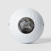 Otter Mastermind Golfballen (Voorkant)