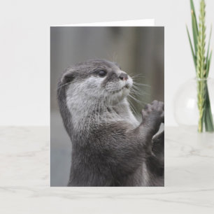 Otter Mastermind Wenskaart Kaart