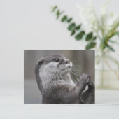 Otter MastermineBriefkaart Briefkaart (Staand voorkant)