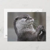 Otter MastermineBriefkaart Briefkaart (Voorkant / Achterkant)