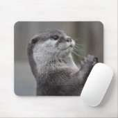 Otter MastermineMuismat Muismat (Met muis)