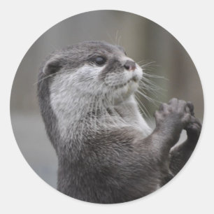 Otter Masterminesticker Ronde Sticker