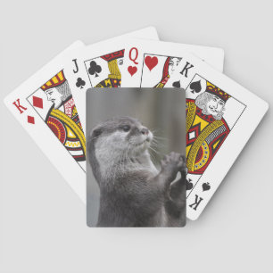 Otter Masterzulks Deck van Kaarten
