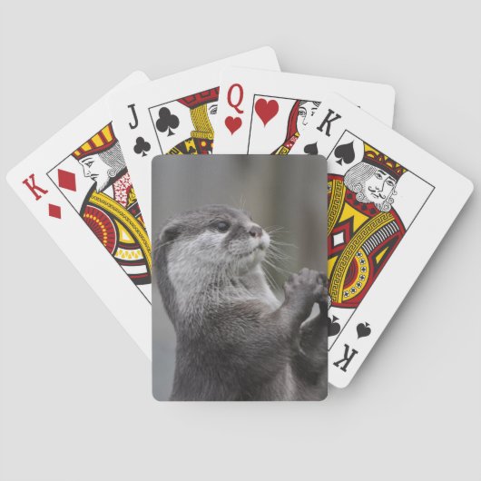 Otter Masterzulks Deck van Kaarten (Achterkant)