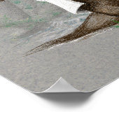 Otter Medicine - Afdruk of Poster (Hoek)