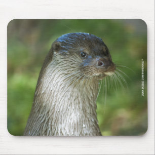 otter muismat