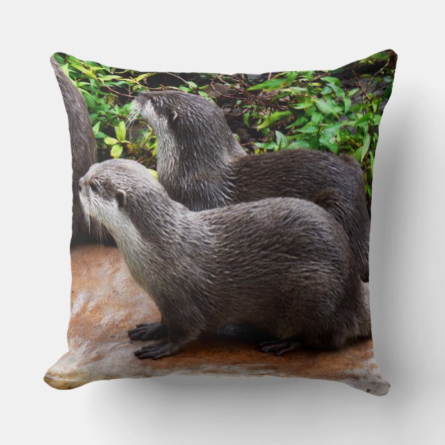 Otter, Otter, Gros Coussin Lounge. (Recto)