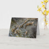 Otter Pack Wenskaart Kaart (Gele Bloem)