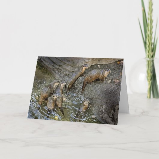 Otter Pack Wenskaart Kaart (Voorkant)