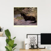  Otter Painting (1909) Poster (Thuiskantoor)