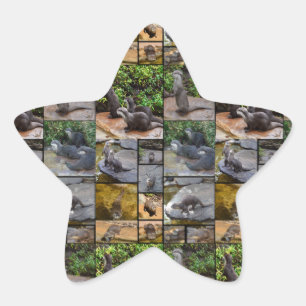 Otter Photo Collage Stickers Star.