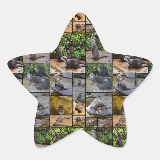 Otter Photo Collage Stickers Star. (Devant)