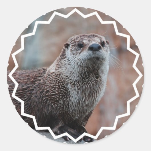 Otter Photo Stickers (Voorkant)