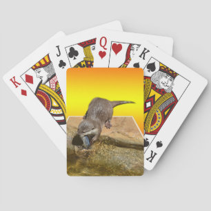 **"Otter Popout: een speelse blik in het rivierlev Pokerkaarten