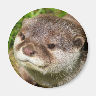 Otter Portrait Magneet
