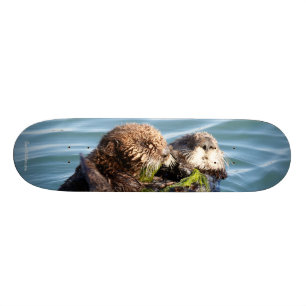 Otter pup en moeder met kelp skateboard