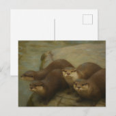 Otter Quartet – Speelse wildlife art print Briefkaart (Voorkant / Achterkant)