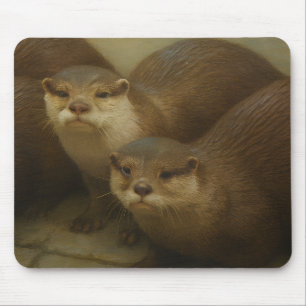 Otter Quartet – Speelse wildlife art print Muismat
