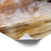 Otter Qui Sont Vraiment À Mignonne, Poster Glossy (Coin)