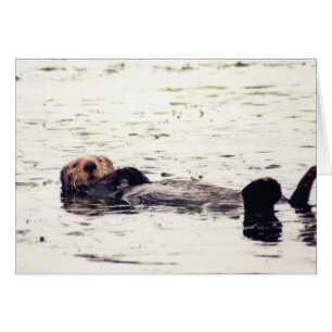 Otter Raft