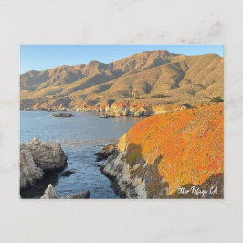 Otter Refuge, CA Briefkaart