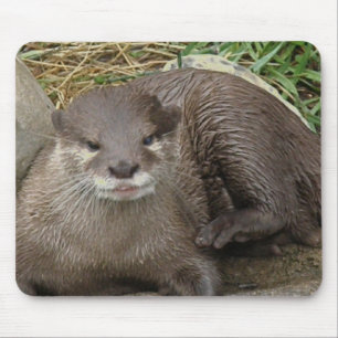 Otter Resting Muismat
