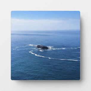 Otter Rock, Cape Foulweather, Newport, Oregon Fotoplaat