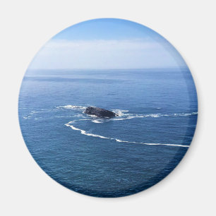 Otter Rock, Cape Foulweather, Newport, Oregon Magneet