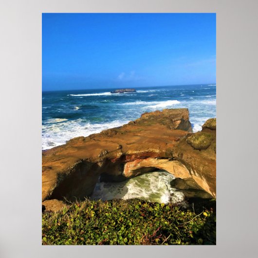 Otter Rock in Devil's Punchbowl State Park, Oregon Poster (Voorkant)