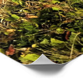 Otter Rock in Devil's Punchbowl State Park, Oregon Poster (Hoek)