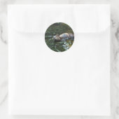 Otter Ronde Sticker (Tas)