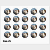 Otter sticker (Vel)