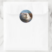 Otter sticker (Tas)