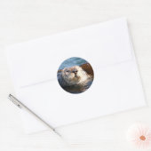 Otter sticker (Envelop)
