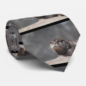 Otter Stropdas (Opgerold)