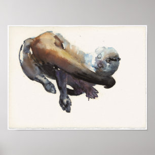 Otter Study I - Talisker Poster
