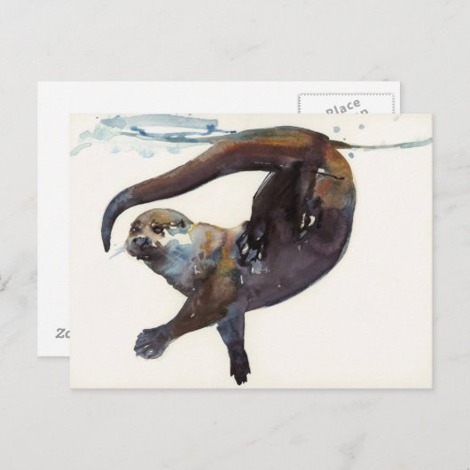 Otter Study II - Talisker Briefkaart (Voorkant / Achterkant)