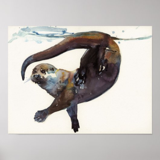 Otter Study II - Talisker Poster (Voorkant)