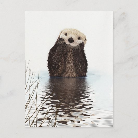 Otter Wildlife Image Briefkaart (Voorkant)