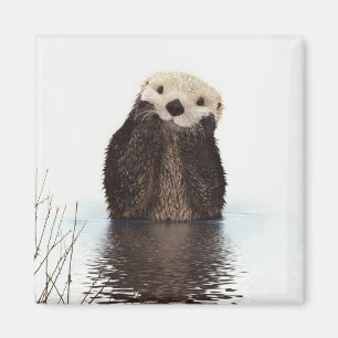 Otter Wildlife Image Magneet