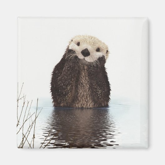 Otter Wildlife Image Magneet (Voorkant)