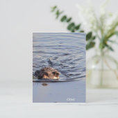 Otter Zwemfoto Briefkaart (Staand voorkant)